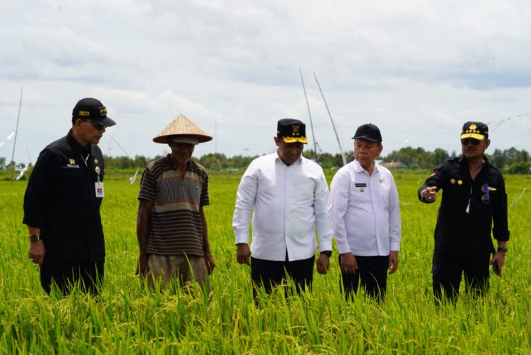 TINJAU : Mentan RI, Syahrul Yasin Limpo bersama Wagub Kalteng, Edy Pratowo meninjau Kawasan Food Estate, di Desa Bentuk Jaya A5 Dadahup, Kabupaten Kapuas, Kamis (16/2/2023).