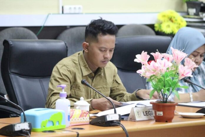 deni Anggota Dewan Perwakilan Rakyat Daerah (DPRD) Kabupaten Seruyan, Denni Rahmadani