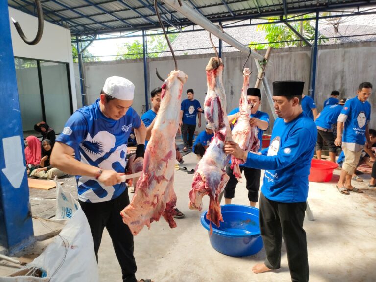 DPW PAN Kalteng Berkurban 12 Ekor Sapi