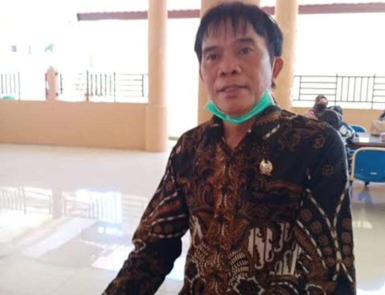 Ketua Komisi III DPRD Barsel, Hermanes