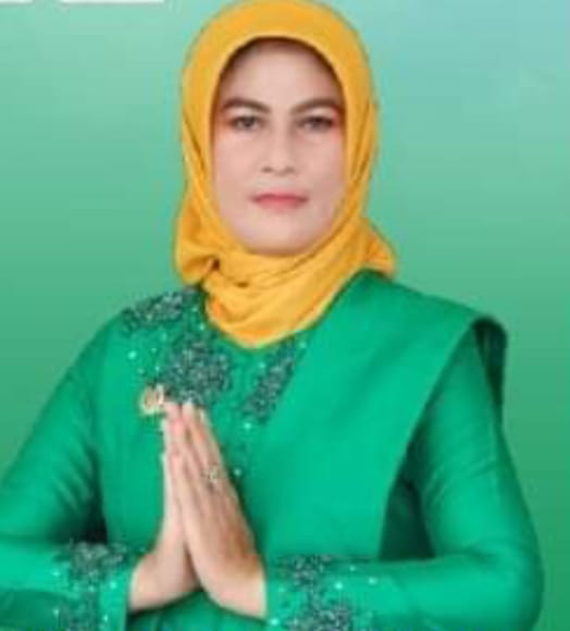 Wakil Ketua II DPRD Barito Selatan, Enung Irawati,