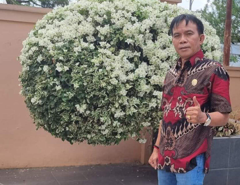 Ketua Komisi III DPRD Barito Selatan (Barsel), Hermanes