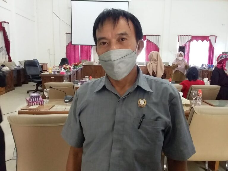 Anggota DPRD Barsel Hermanes