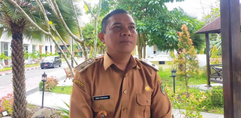Kepala Desa Datai Nirui Perjuangkan Dana Desa, Laporkan Kepada Presiden