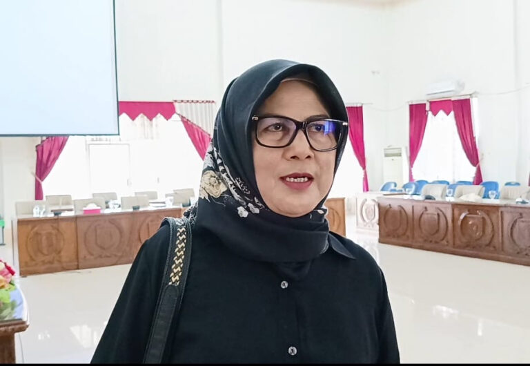 Ini Alasan DPRD Barsel Mendorong Peningkatan Infrastruktur Penerangan di Tahun 2024