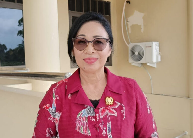 Dorong Sinergi Pemerintah Atasi Jalan Rusak di Barsel