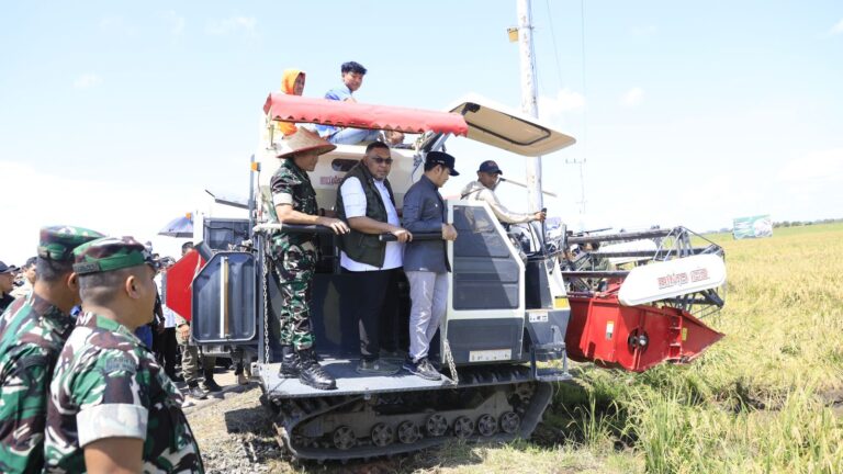 Panen Raya, Bukti Nyata Kalteng Siap Swasembada