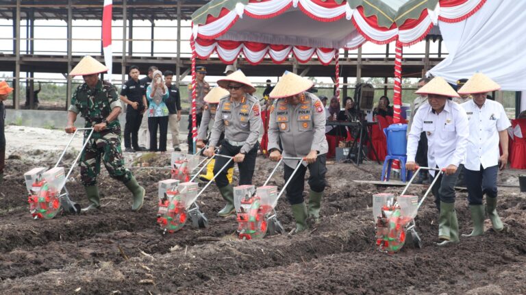 Dukung Swasembada Pangan, Polresta Palangka Raya Tanam Jagung di Lahan 7 Hektare