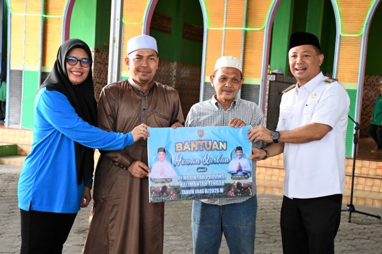 Bupati Barsel Serahkan Bantuan Sapi Kurban dari Presiden RI dan Pemprov Kalteng