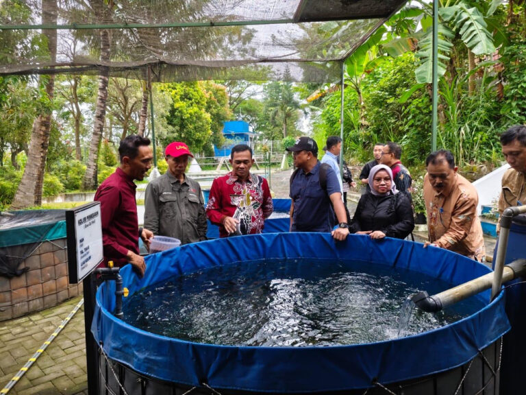 Pemkab Barsel Jajaki Kerja Sama Smart Farming dengan UMM