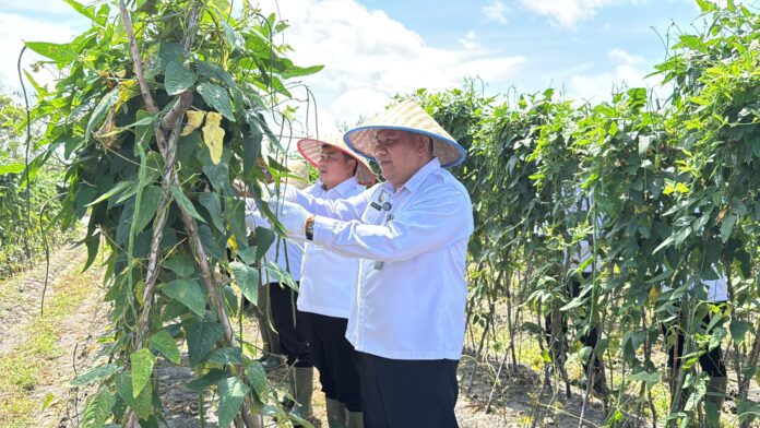 IMG-20251105-WA0220(1)