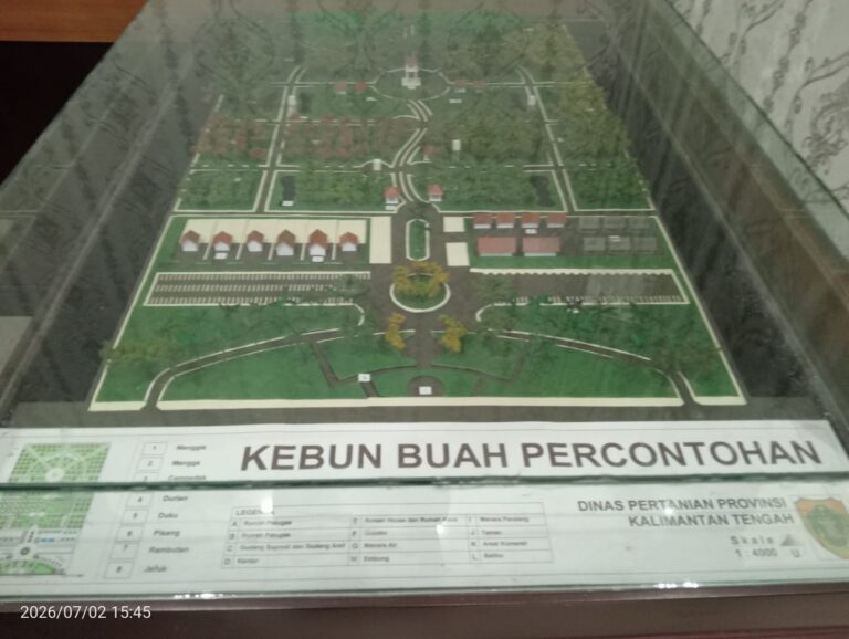 Kebun Dinas Jabiren Dipersiapkan Jadi Sentra Pertanian Modern, Dinas Pastikan Proses Berjalan